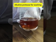 Enzimas de proteasa alcalina de la industria del detergente 50000 u/G-1500000 u/G