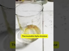Polvo blanco con alto nivel de amilasa almidón 200000 u/g Alfa amilasa termostática