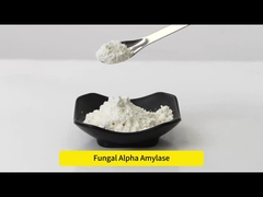 5000SKB-10000SKB Amilasa fúngica para aumentar el volumen del pan, retrasar el envejecimiento