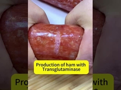 adhesivo intestinal a la parrilla con enzima transglutaminasa