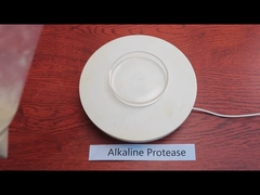 200000U/G Enzima de proteasa ácida en polvo Personalizado Grado alimenticio Grado industrial