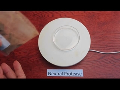 إنزيم البروتياز المحايد للطبيعة الغذائية