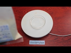 ISO HALAL Alfa amilasa glucoamilasa para la fermentación y el procesamiento de alimentos