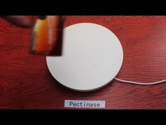 20000U/G Producto de pectinasa Enzima de pectinasa líquida en la industria alimentaria