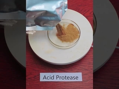 Enzima proteasa ácida