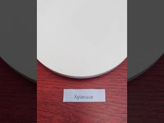 Actividad enzimática personalizada Xylanase Manufacturer 20000U/g