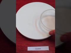 20000U/G Lipasa descompone las grasas para el procesamiento de alimentos y horneados