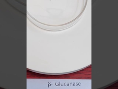 β-Glucanasa, Enzimas alimentarias