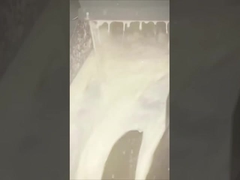 الألفا أميلاز في صناعة الأغذية